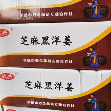 芝麻黑洋姜