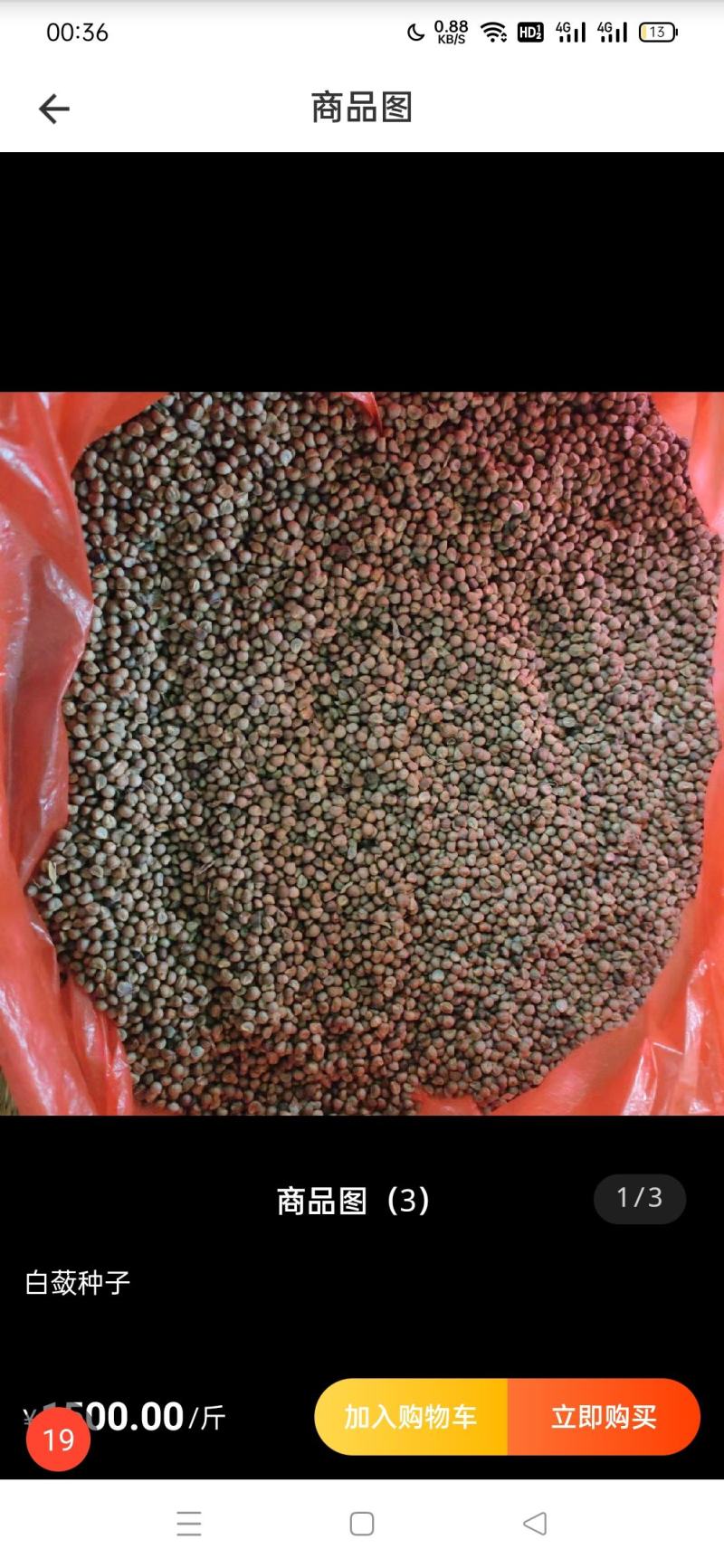 白蔹种子