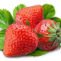 冬季甜草莓商用蛋糕烘培糖葫芦奶茶51盒