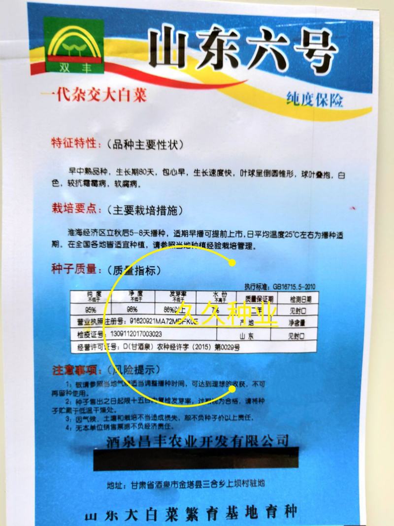 山东六号大白菜种子秋季高产结球包心白菜种籽农家田园蔬菜种