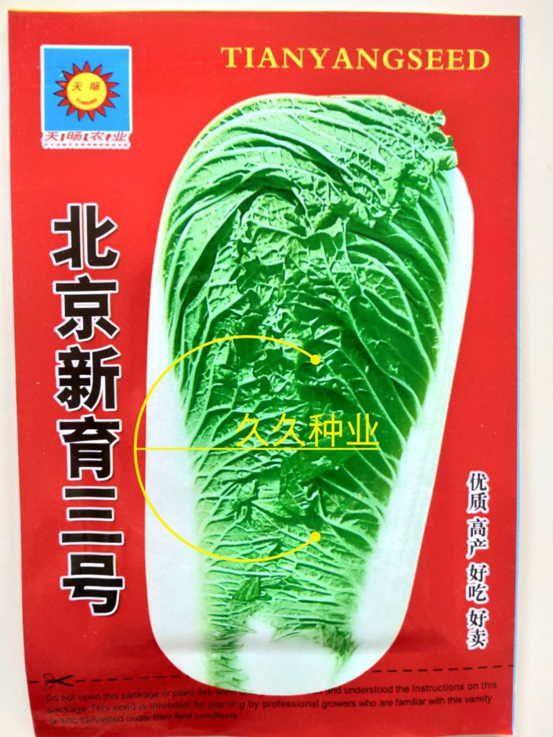 新品杂交北京新三号油绿型白菜籽冬储大白菜种子大面积种植