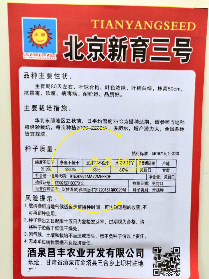 新品杂交北京新三号油绿型白菜籽冬储大白菜种子大面积种植