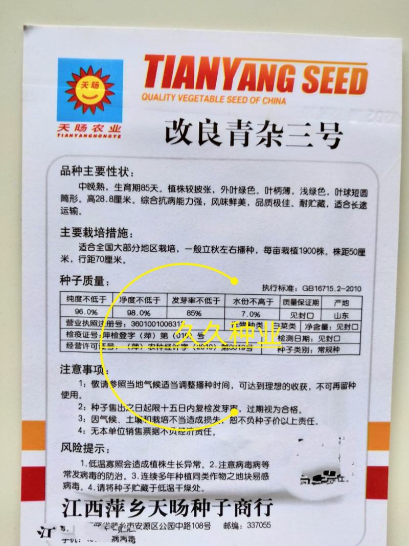 改良青杂三号大白菜种子菜园农家秋季播蔬菜籽辣白菜泡菜