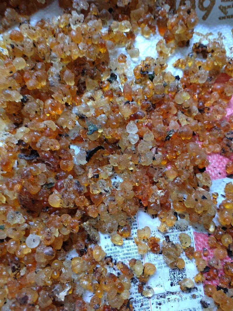 桃胶散装食用桃胶，一手货源，源头收购代收代办