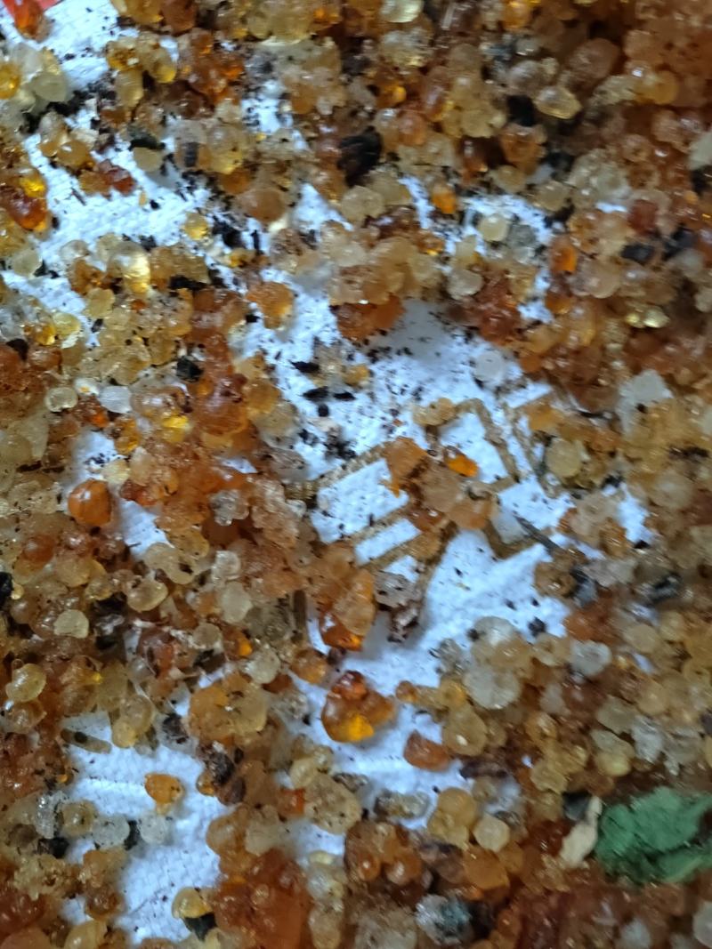 桃胶散装食用桃胶，一手货源，源头收购代收代办