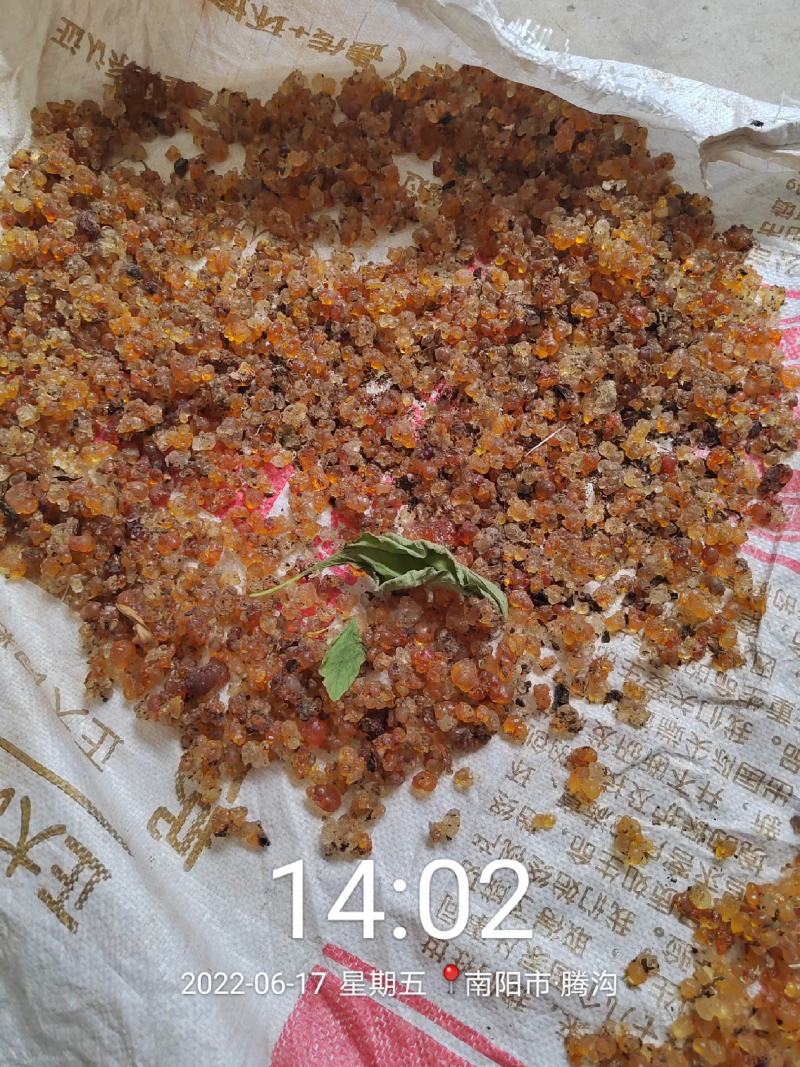 桃胶散装食用桃胶，一手货源，源头收购代收代办