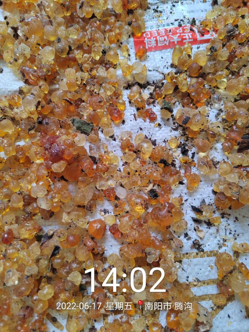 桃胶散装食用桃胶，一手货源，源头收购代收代办