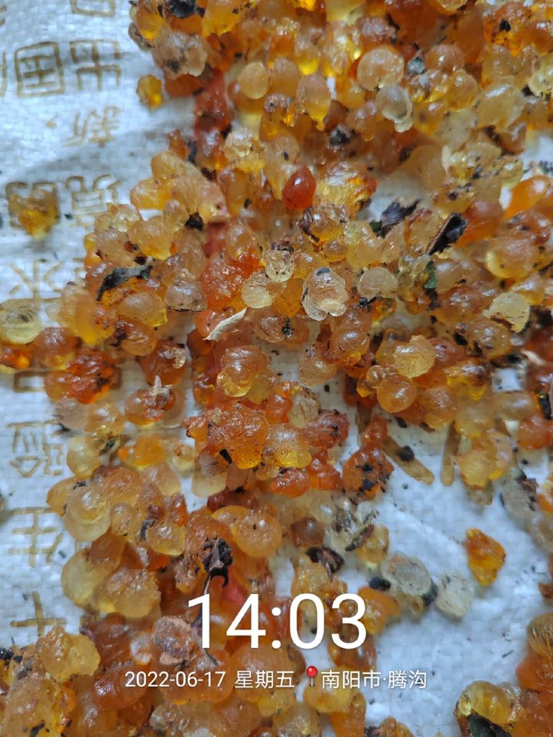 桃胶散装食用桃胶，一手货源，源头收购代收代办