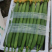 鄞州丝瓜