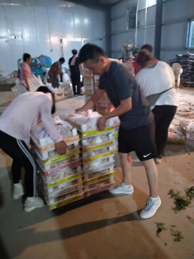 继续走货，有需求的老板抓紧时间联系，价格便宜了。