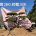 精品地景造型松，面向全国输送，欢迎新老客户前来洽谈合作。