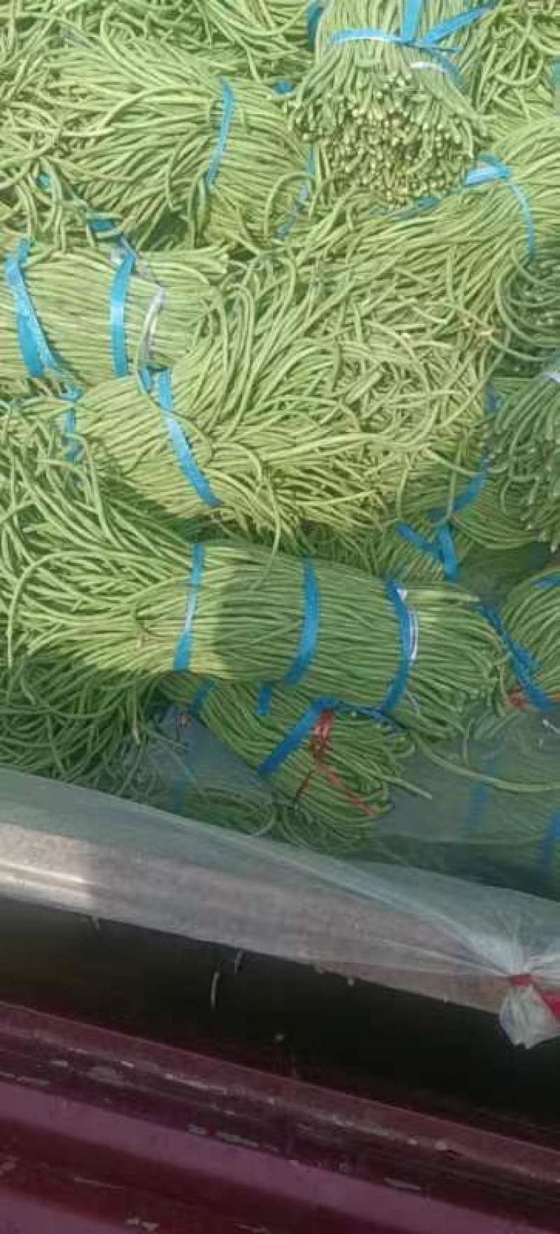 精品长豆角，适合发市场，腌制，烘干！