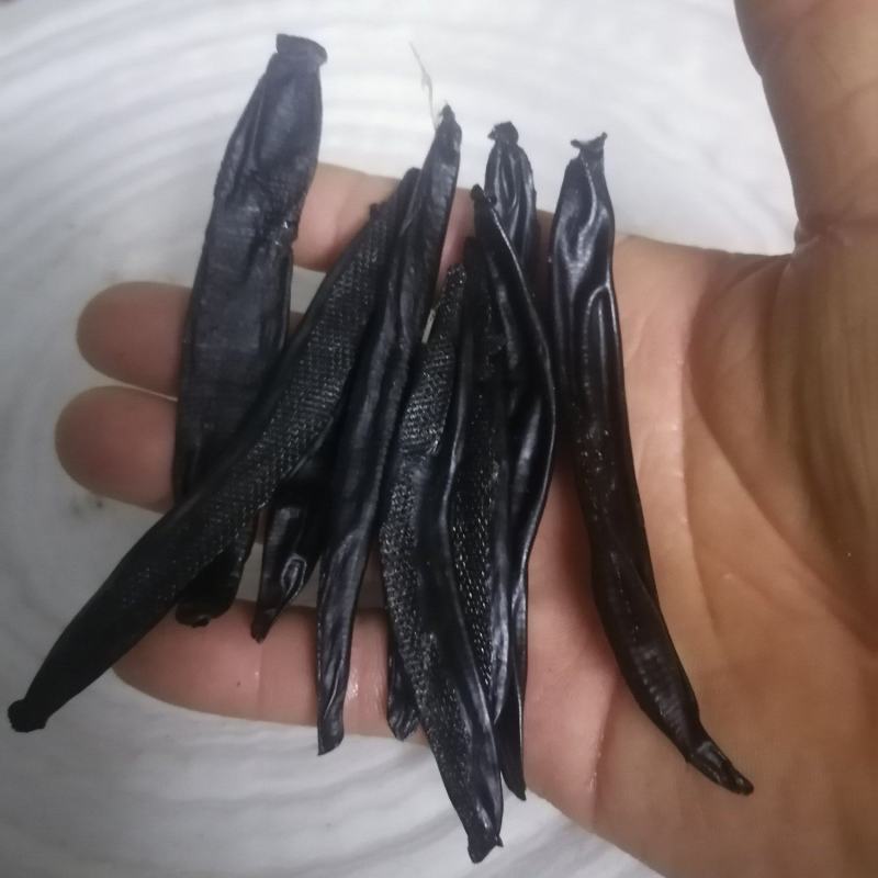 菲牛蛭干品医蛭干品质量保证全国发货