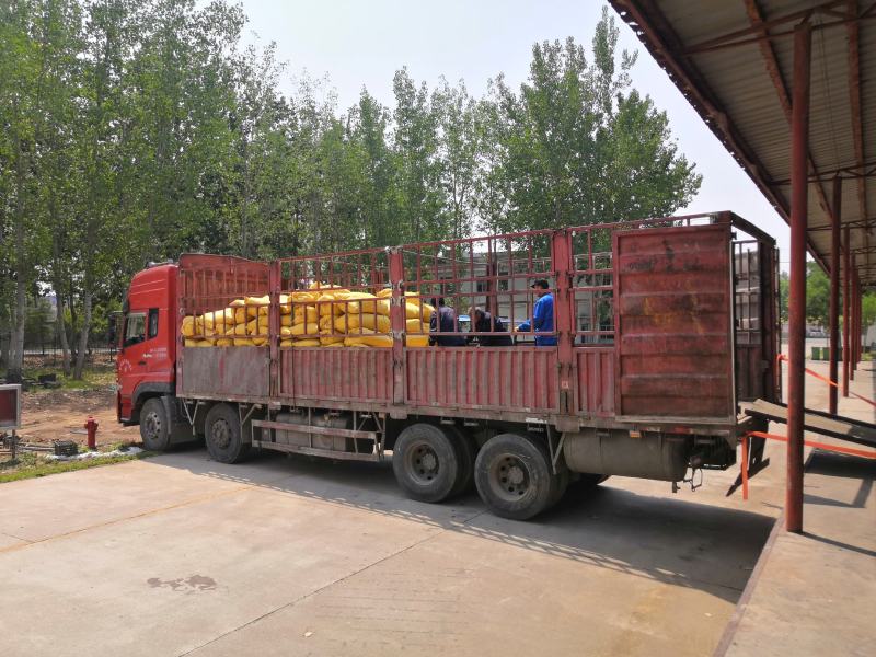 产地批发山东乐陵富硒金丝小枣