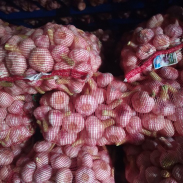 扒皮鲜蒜