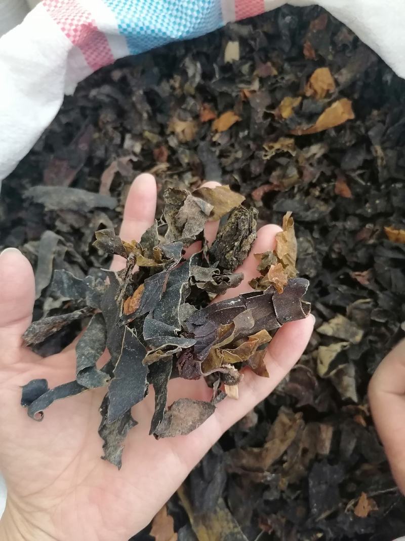 昆布中药材药用各种中药材批发零售各种规格中药材