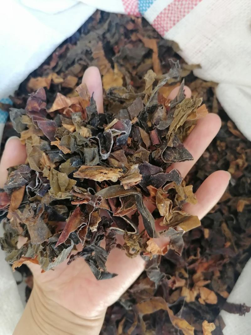 昆布中药材药用各种中药材批发零售各种规格中药材