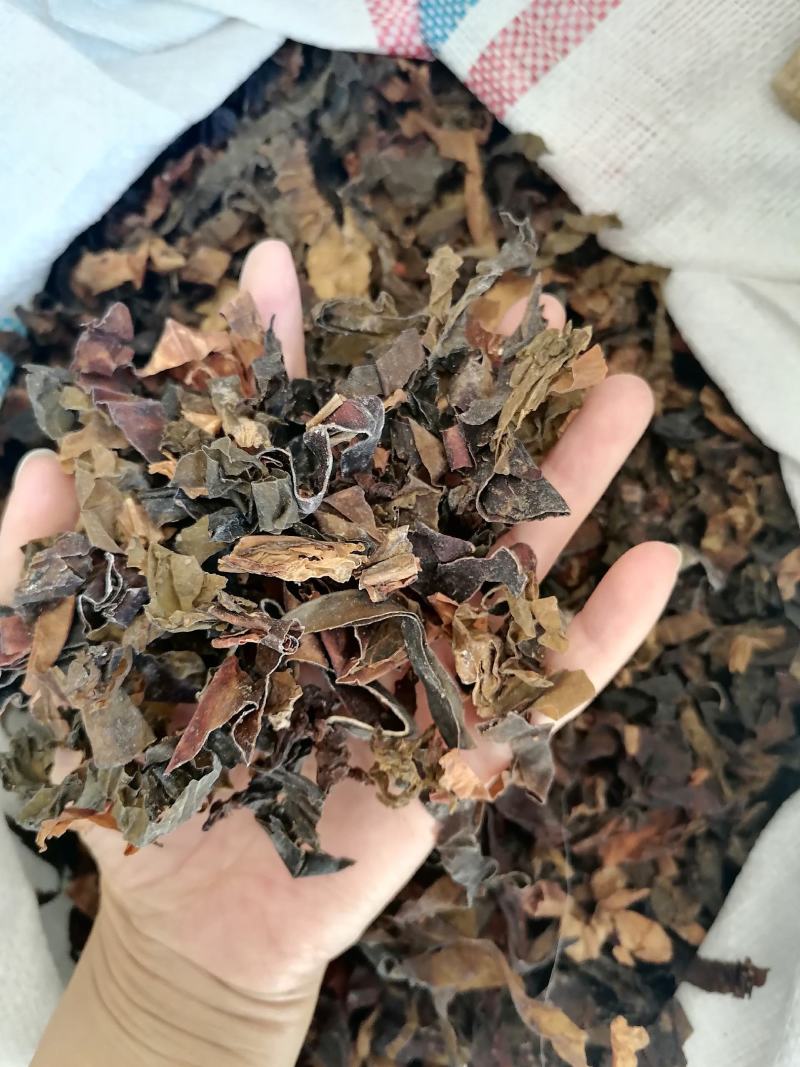昆布中药材药用各种中药材批发零售各种规格中药材