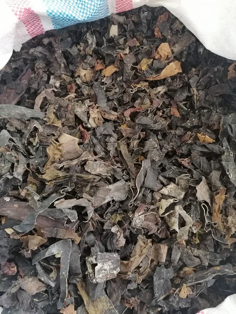 昆布中药材药用各种中药材批发零售各种规格中药材