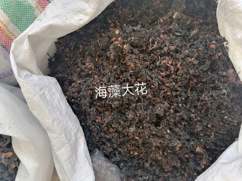 海藻中药材药用落首乌菜海带花批发零售各种规格中药材