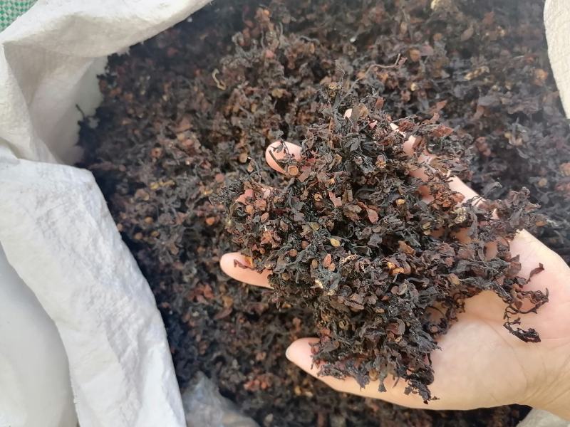 海藻中药材药用落首乌菜海带花批发零售各种规格中药材