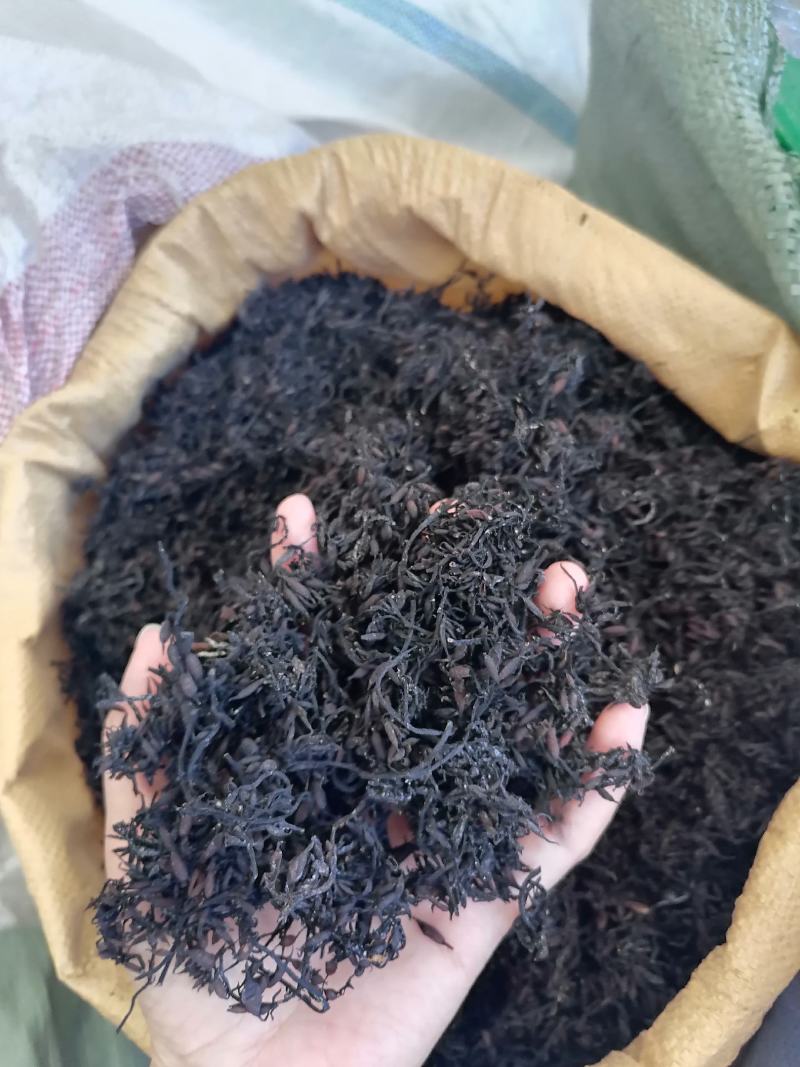 海藻中药材药用落首乌菜海带花批发零售各种规格中药材