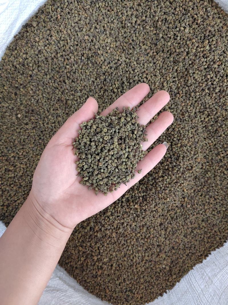 吴茱萸丹丹中药材批发产地直销，货源充足，品质保证，欢迎选购
