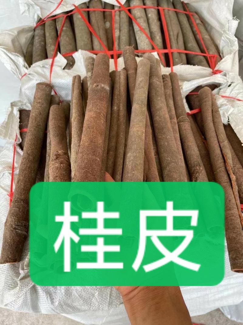 桂皮，广西桂皮，厚实，新货上市，产地直销，