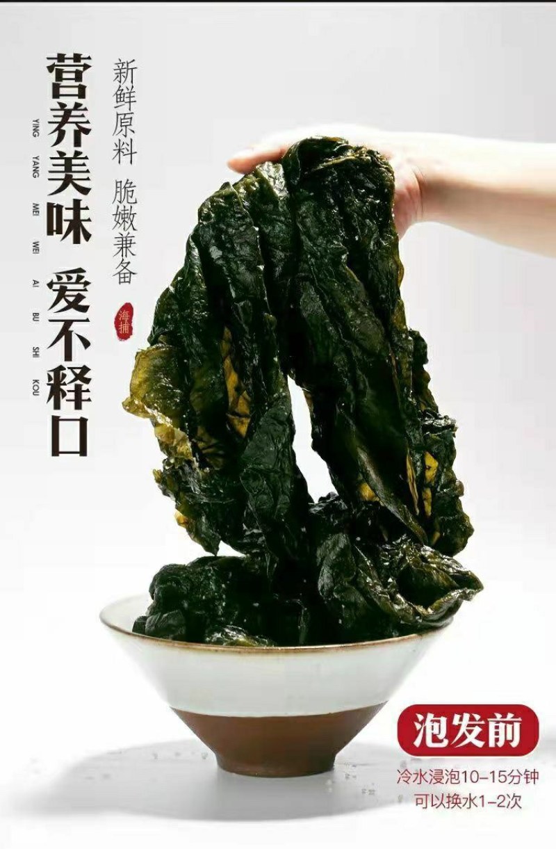 不新鲜包退5斤整颗新鲜盐渍海带特厚裙带菜、海白菜凉拌菜包