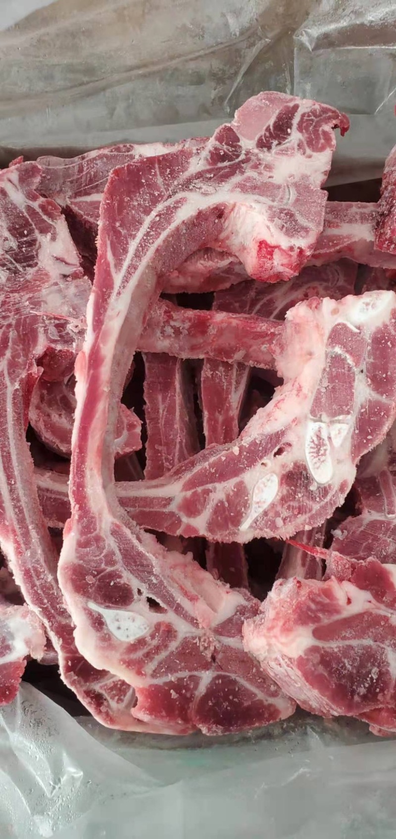 多肉排骨条基地直供品质保证，常年有货