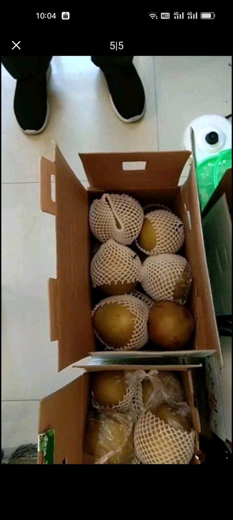 黄花梨个头饱满口感细腻水分充足产地直销大量供货欢迎询价