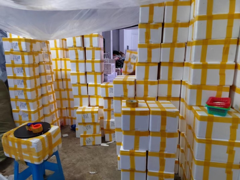 妃子笑白糖婴黑叶荔枝，大量接一件代发，团购