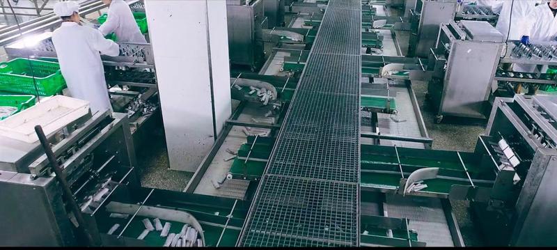 东海皮皮虾产地直销一手货源厂家直供大型商超大型批发商