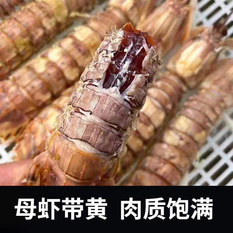 东海皮皮虾产地直销一手货源厂家直供大型商超大型批发商