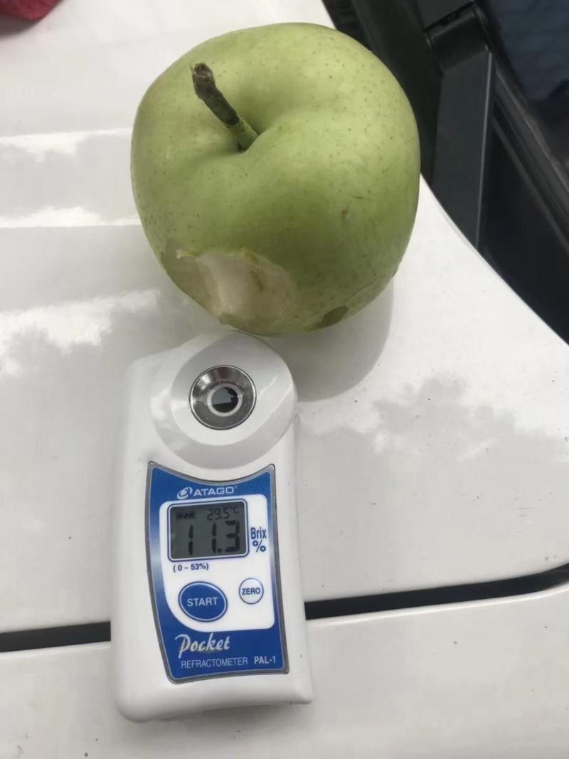 白宝石梨！绿宝石梨！黄金梨！风水梨