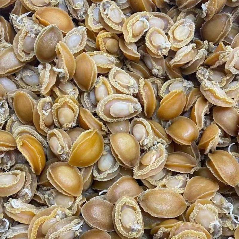 鲍鱼干，大连鲍，干鲍鱼，炖汤鲍鱼
