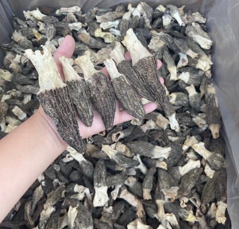 羊肚菌，炖汤，特价便宜
