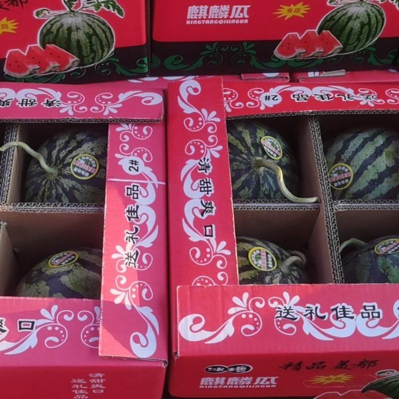 通许【美都西瓜】大量上市欢迎新老客户来电咨询品质保证