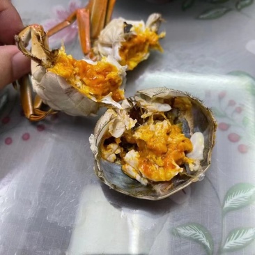 江苏兴化精品六月黄，满肉、全国可直达，可一件代发