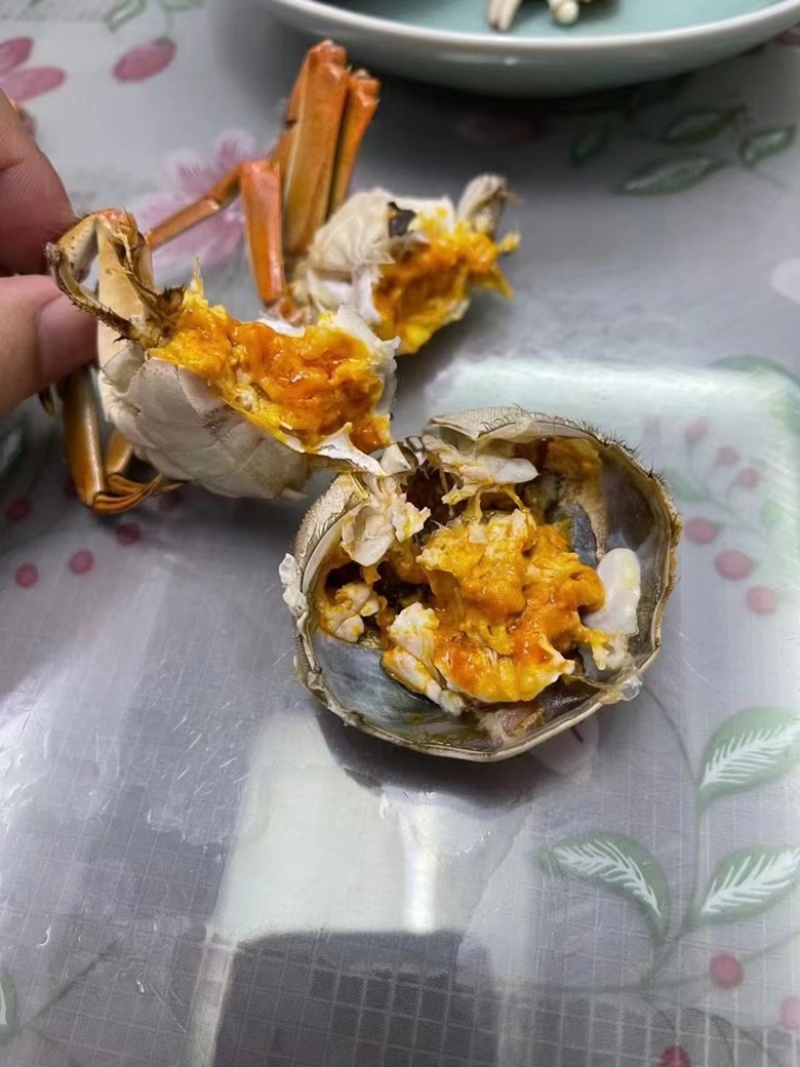 江苏兴化精品六月黄，满肉、全国可直达，可一件代发