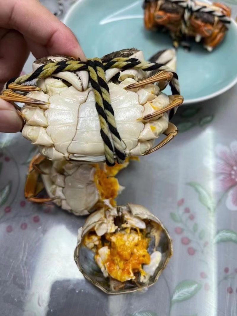 江苏兴化精品六月黄，满肉、全国可直达，可一件代发