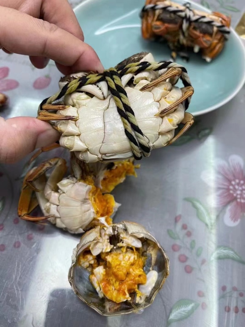 江苏兴化精品六月黄，满肉、全国可直达，可一件代发