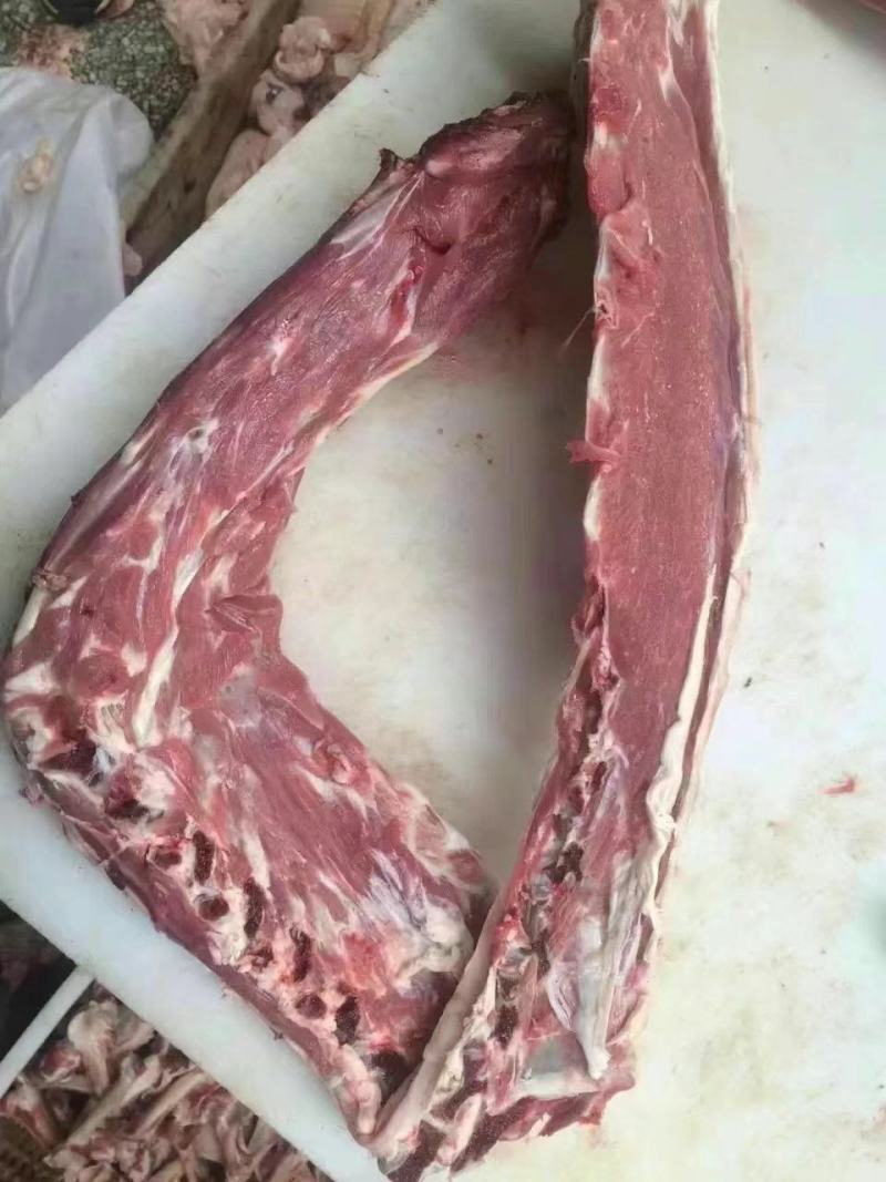 羔羊羊蝎子有加肉羊蝎子有满肉羊蝎子加肥羊蝎子