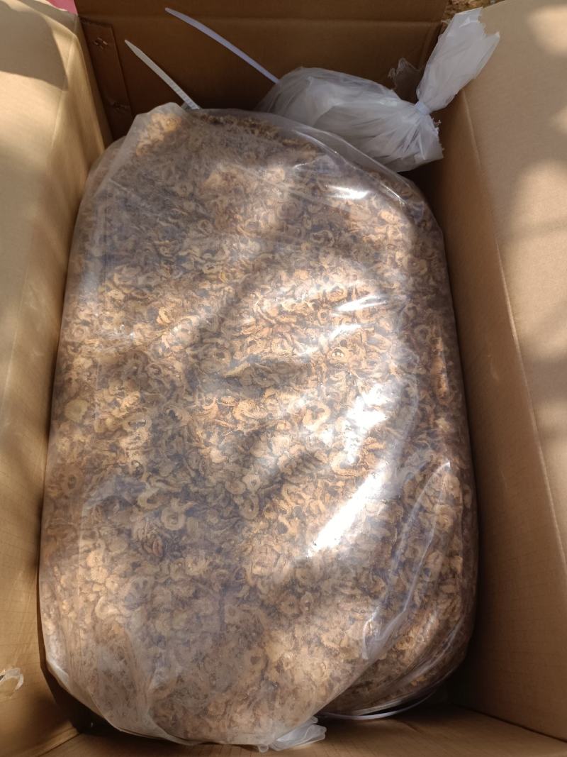 贵州刺梨片