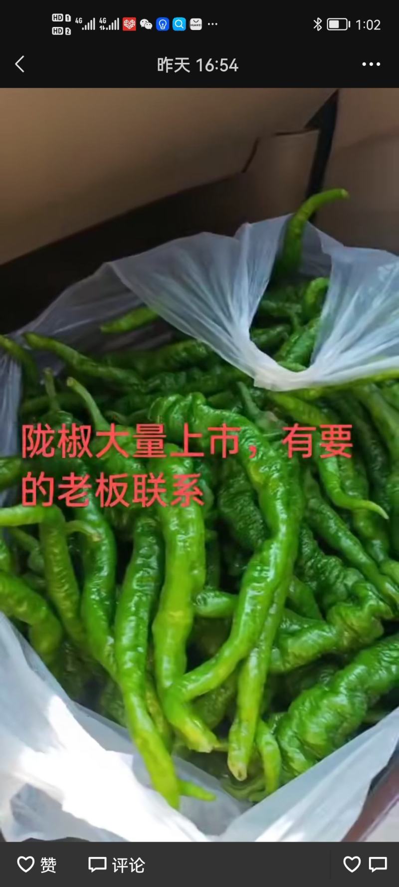 刚上市的鲜辣椒