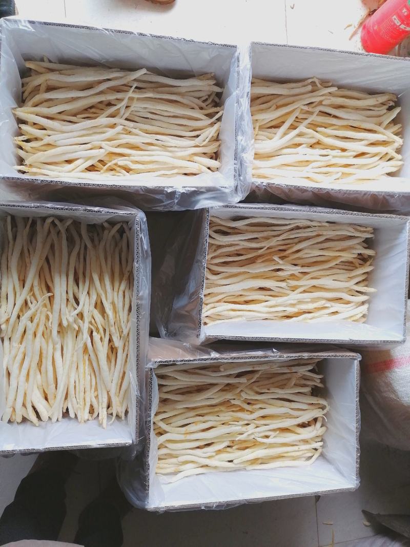 川明参产地直销