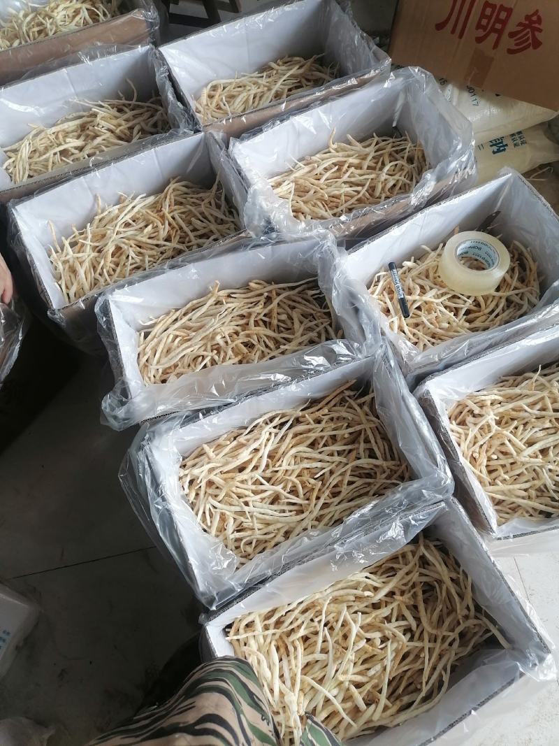川明参产地直销