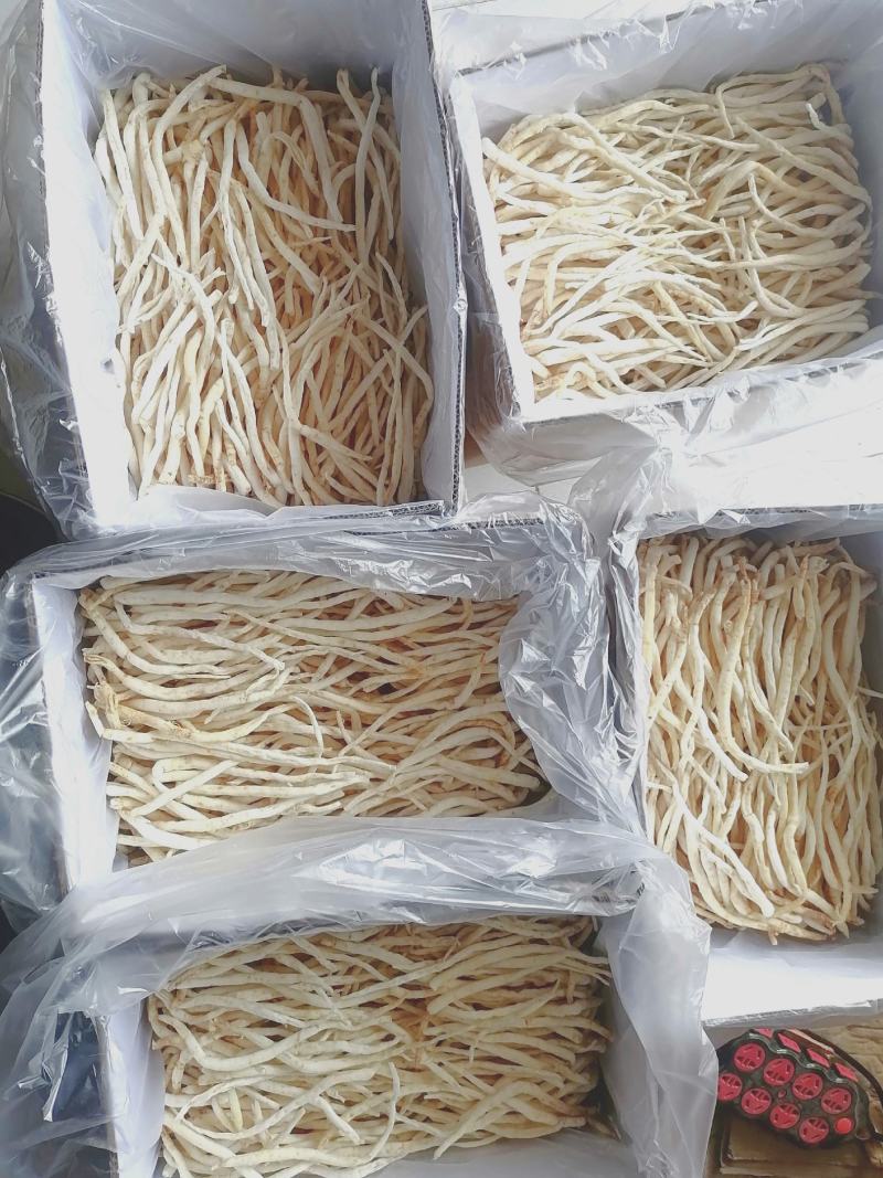川明参产地直销