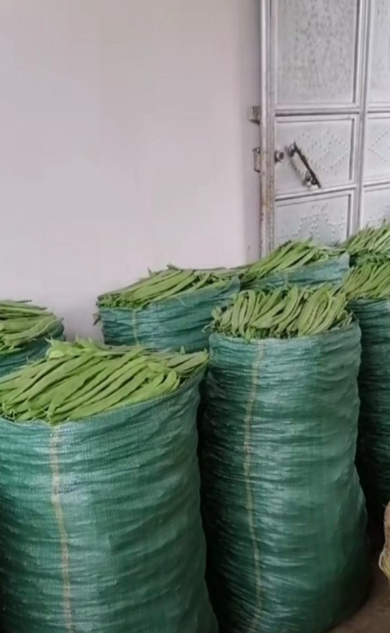 扁豆，蔬菜，大扁豆，成天无公害食品，蔬菜