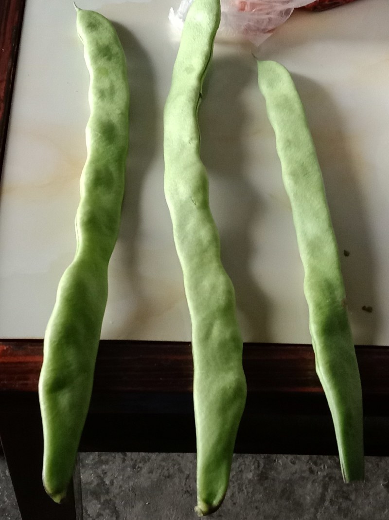 扁豆，蔬菜，大扁豆，成天无公害食品，蔬菜